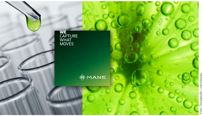 Mane