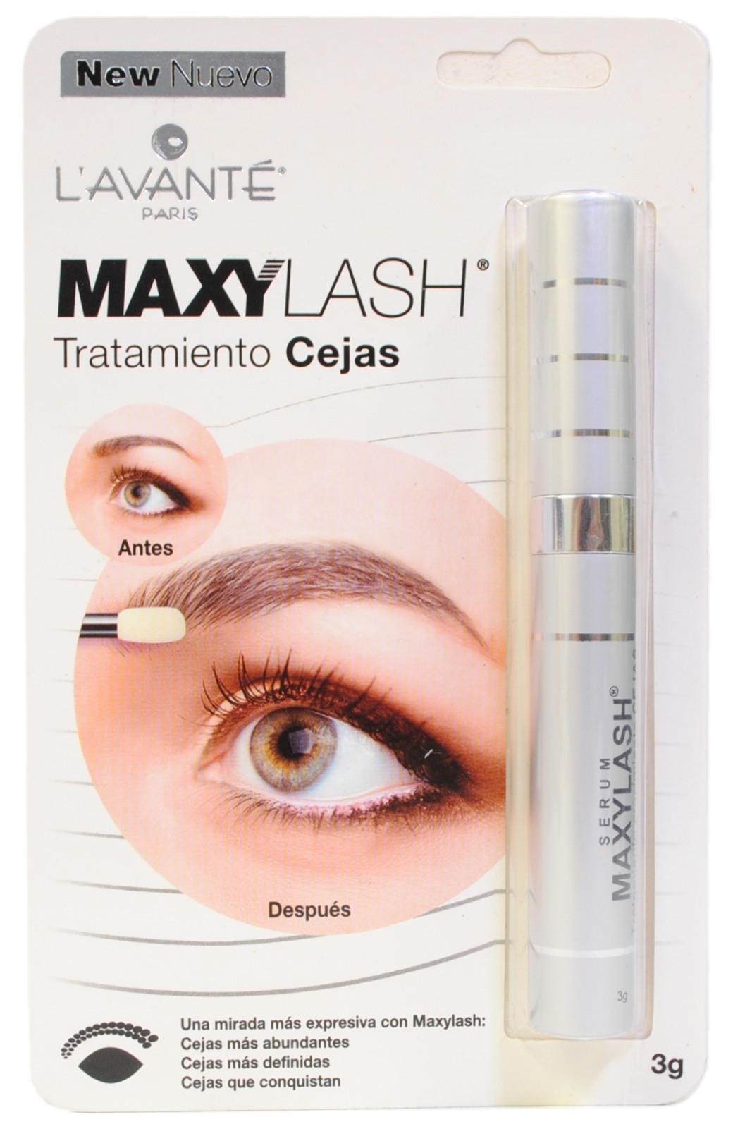 maxy_lash_eyebrow