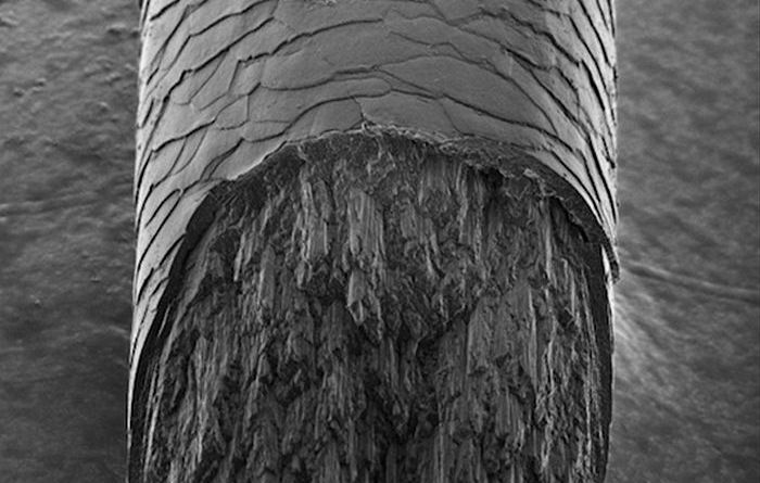 r1455553_211777421