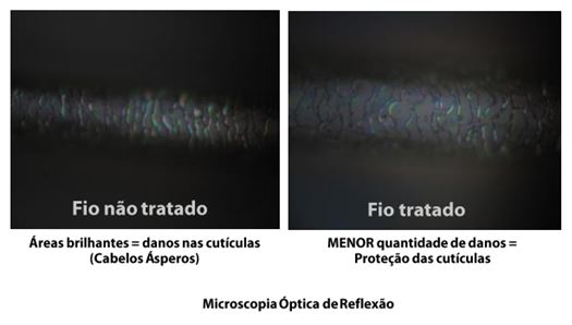 Tribologia