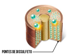 pontes_de_dissulfeto
