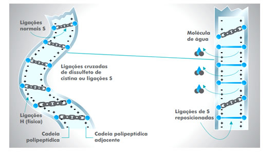 pontes_de_dissulfeto2