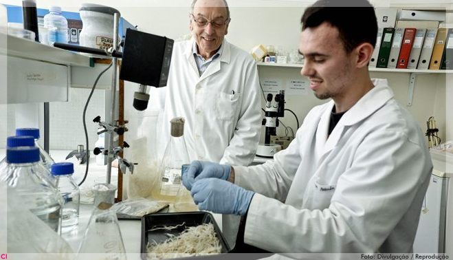 Partículas de penas de galinha e água podem ajudar a regenerar a pele