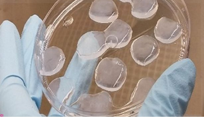 Curativo com alto poder cicatrizante é feito da proteína do abacaxi