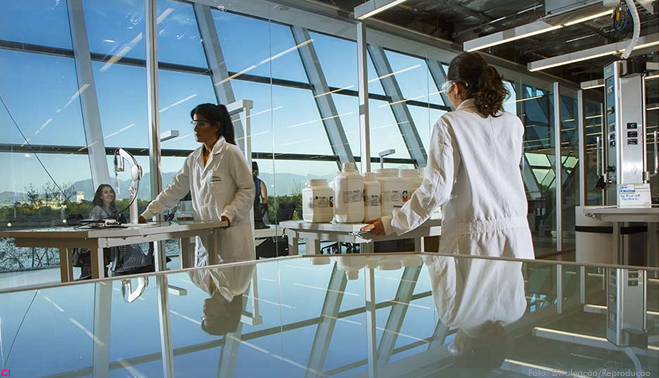 L’Oréal e Instituto D’Or desenvolvem neurônios humanos responsivos