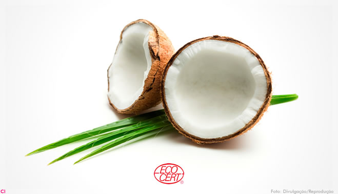 Alternativa vegetal ao silicone é novidade da Brenntag