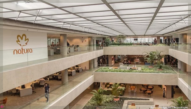 Empresas BCorp, como Natura e Danone, estão inovando o conceito de sucesso nos negócios