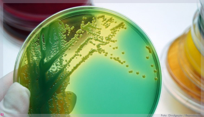 Talk Science aborda microbioma na indústria cosmética