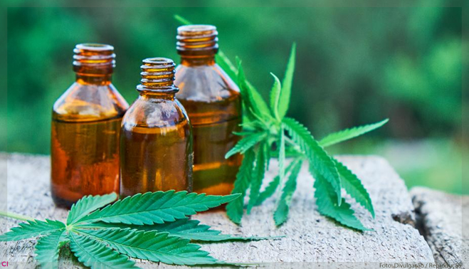 O CBD pode afetar positivamente a saúde do cabelo?