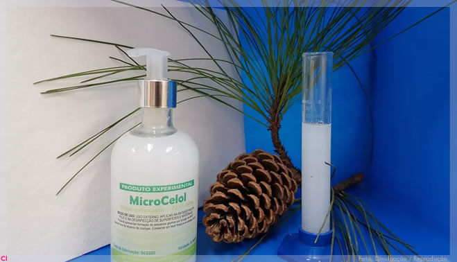 Nanocelulose de pinus e de eucalipto vira álcool em gel