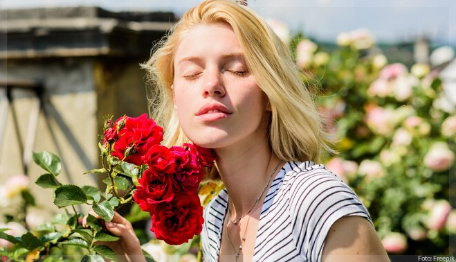 5 principais benefícios das rosas para a pele