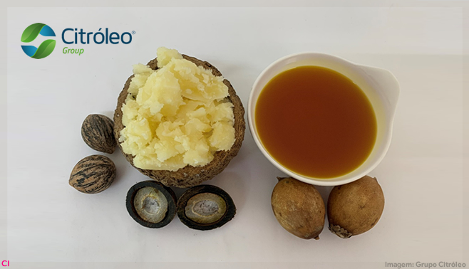 Grupo Citróleo apresenta conceito Brazilian Beauty e lança novos bioativos